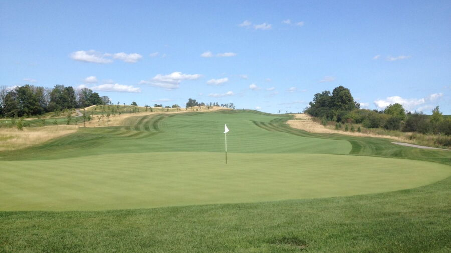 Lebovic GC: #3