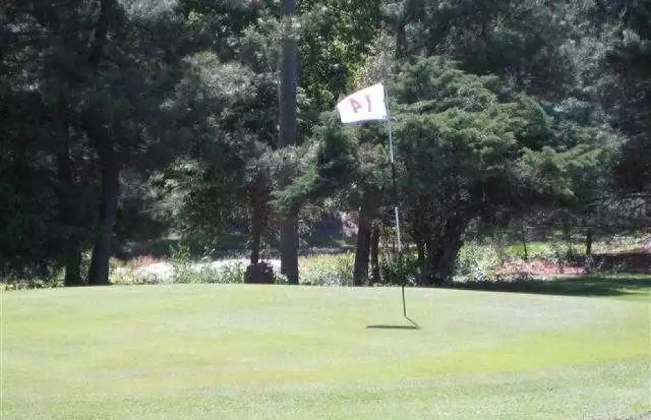 Quail Ridge Golf World Executive GC: #14