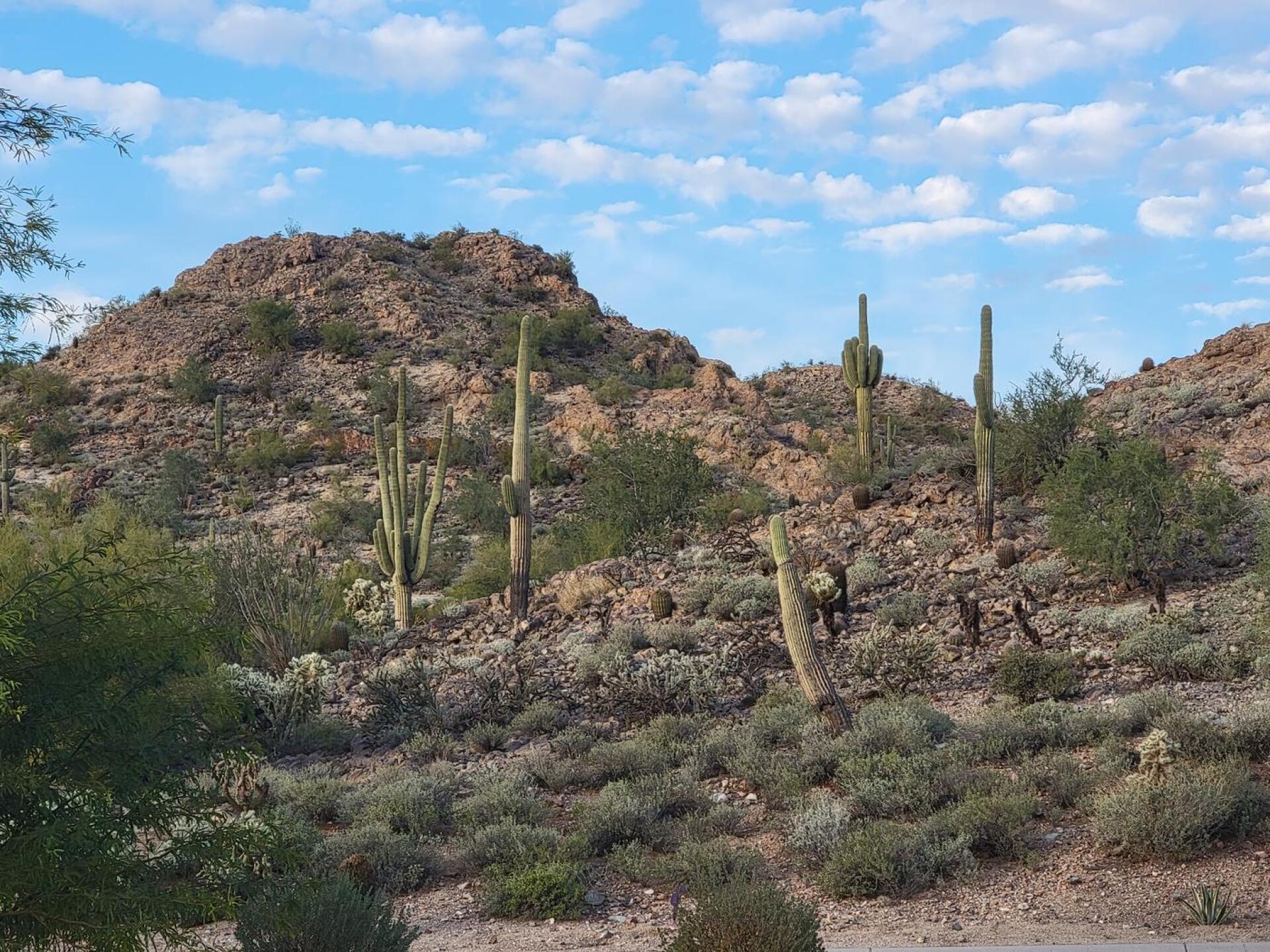 (Photo submitted by u5024047 on 12/08/2022)