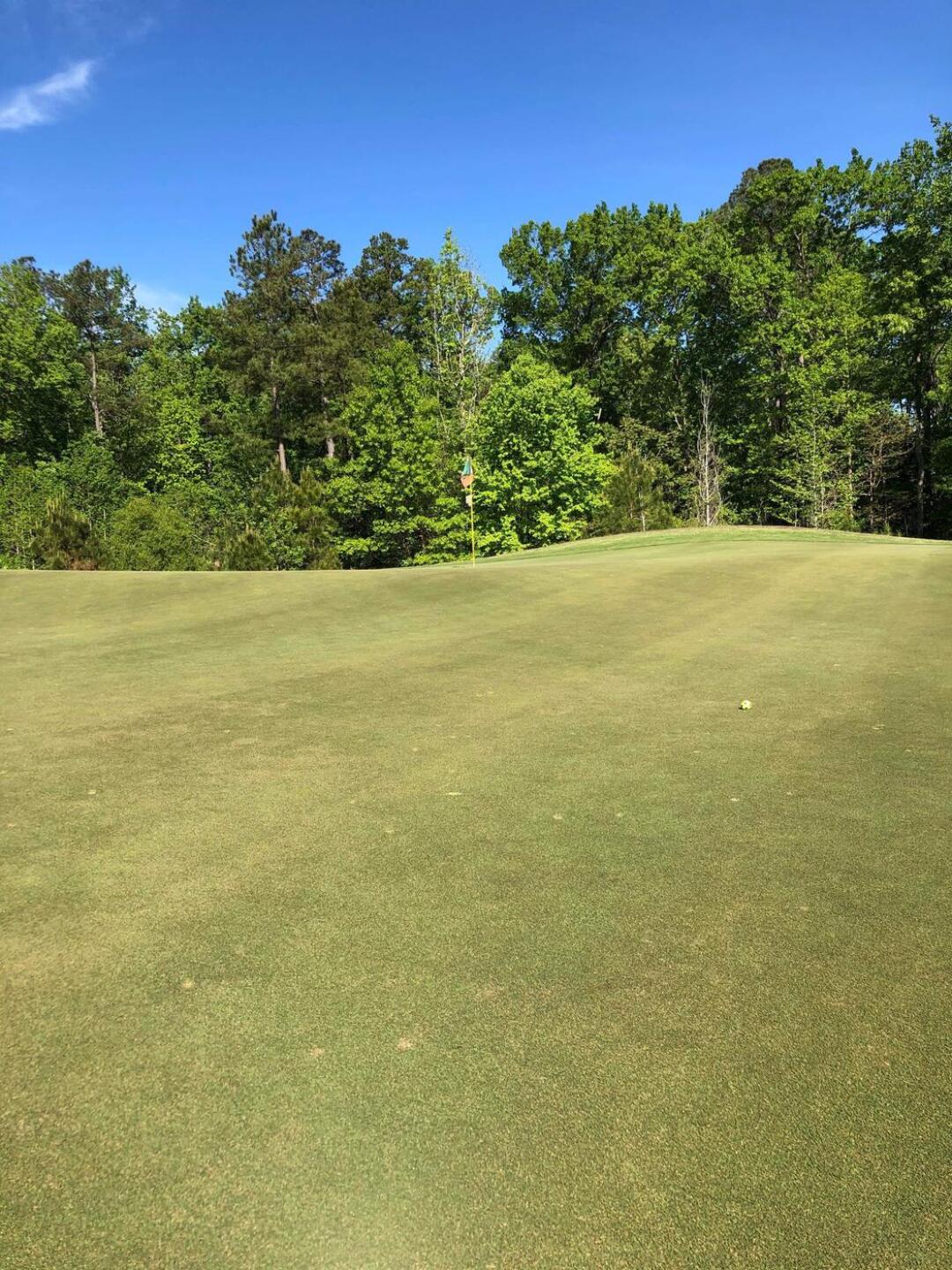 (Photo submitted by Maltenator on 05/02/2020)