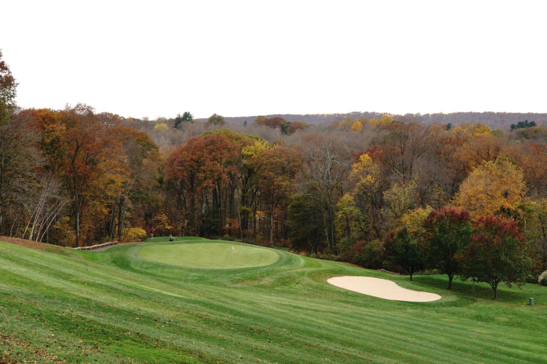 The difficult downhill approach at the par-5 fifth. (Photo submitted by AptlyLinked on 11/07/2023)