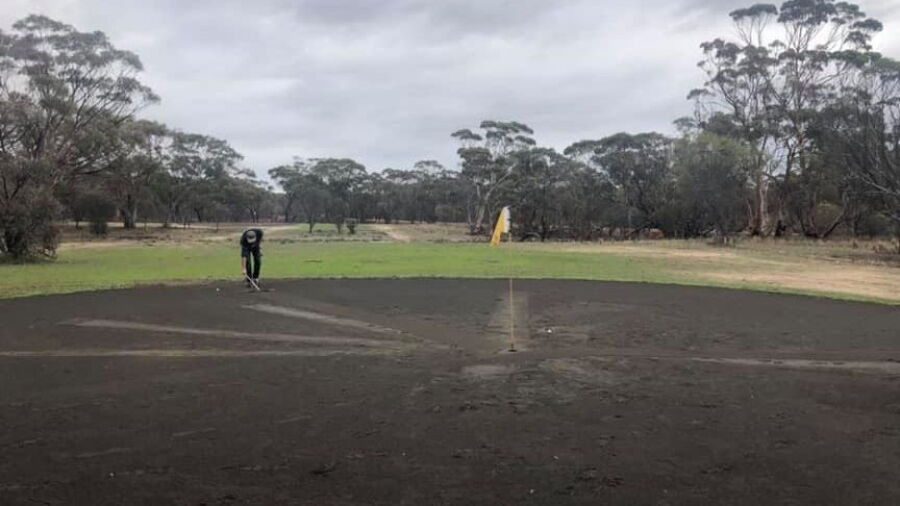 Kweda GC: #3