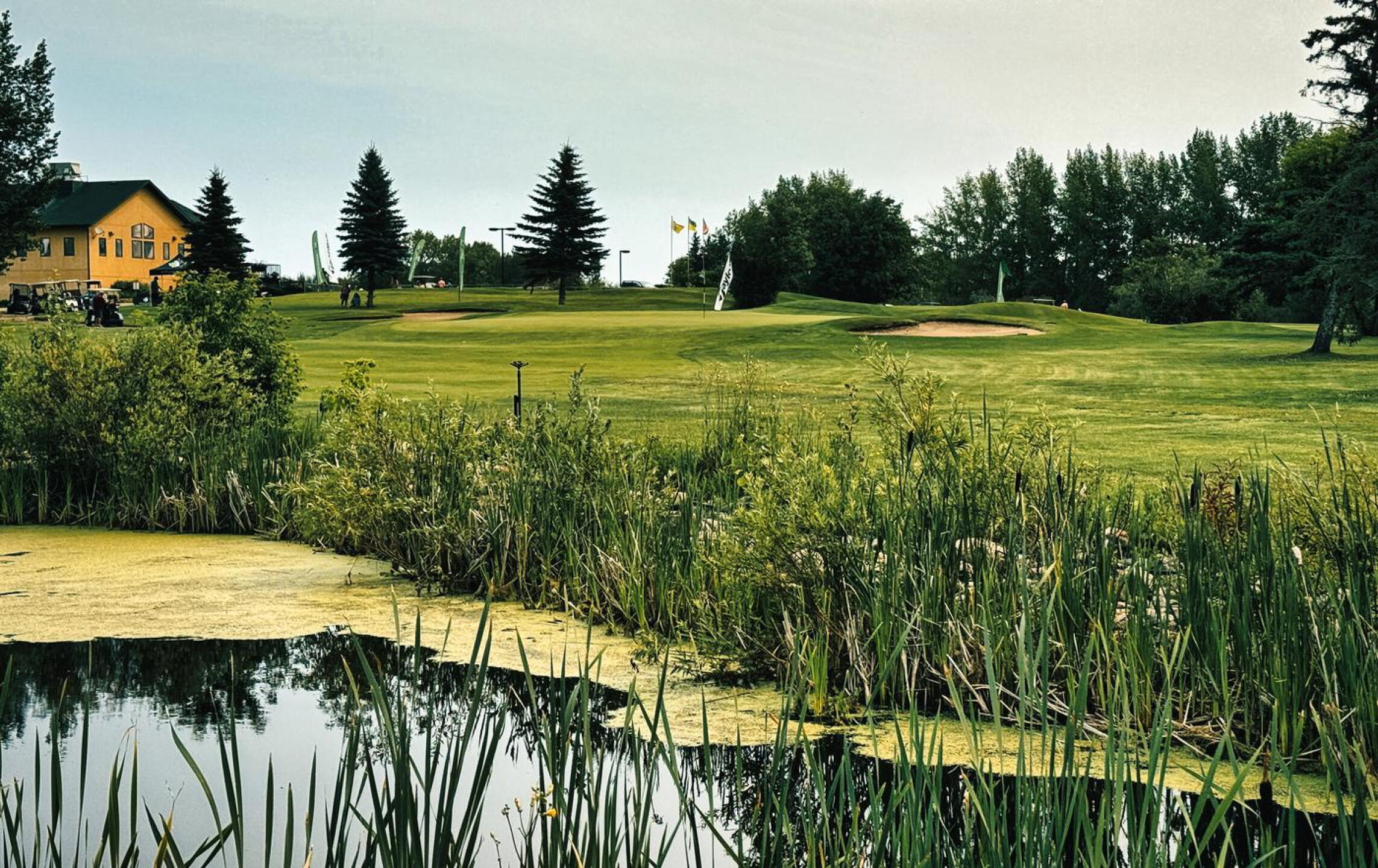 Meadow Lake GC, Hole 18, Par 5, 474 yds, 75 yds out (Photo submitted by DYakimec on 08/29/2026)