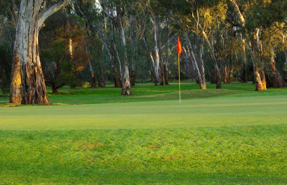 Benalla GC