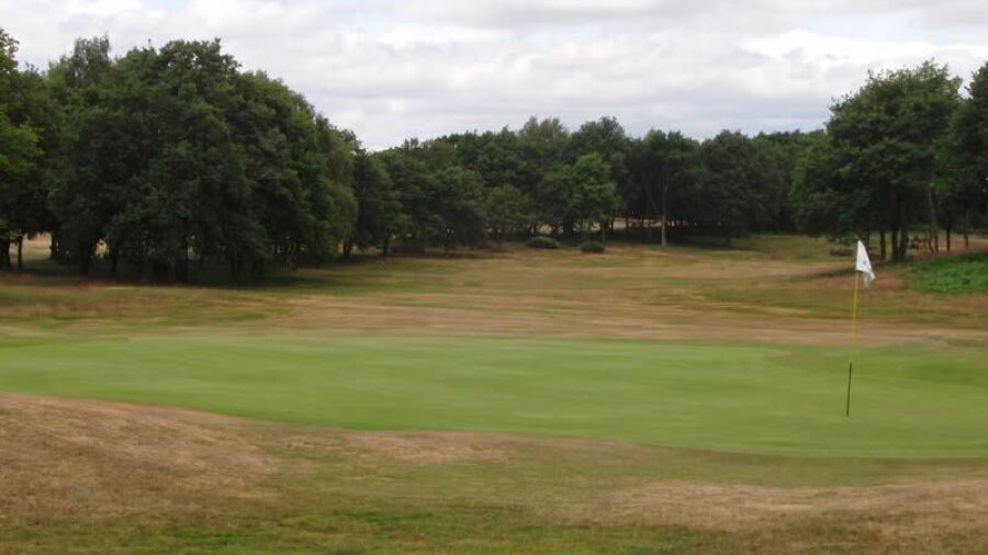Whittington Heath GC: #8