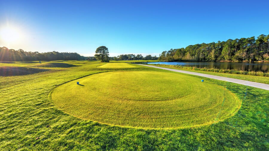 Cypress Head GC