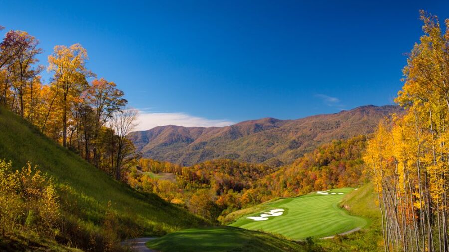 Balsam Mountain Preserve: #16