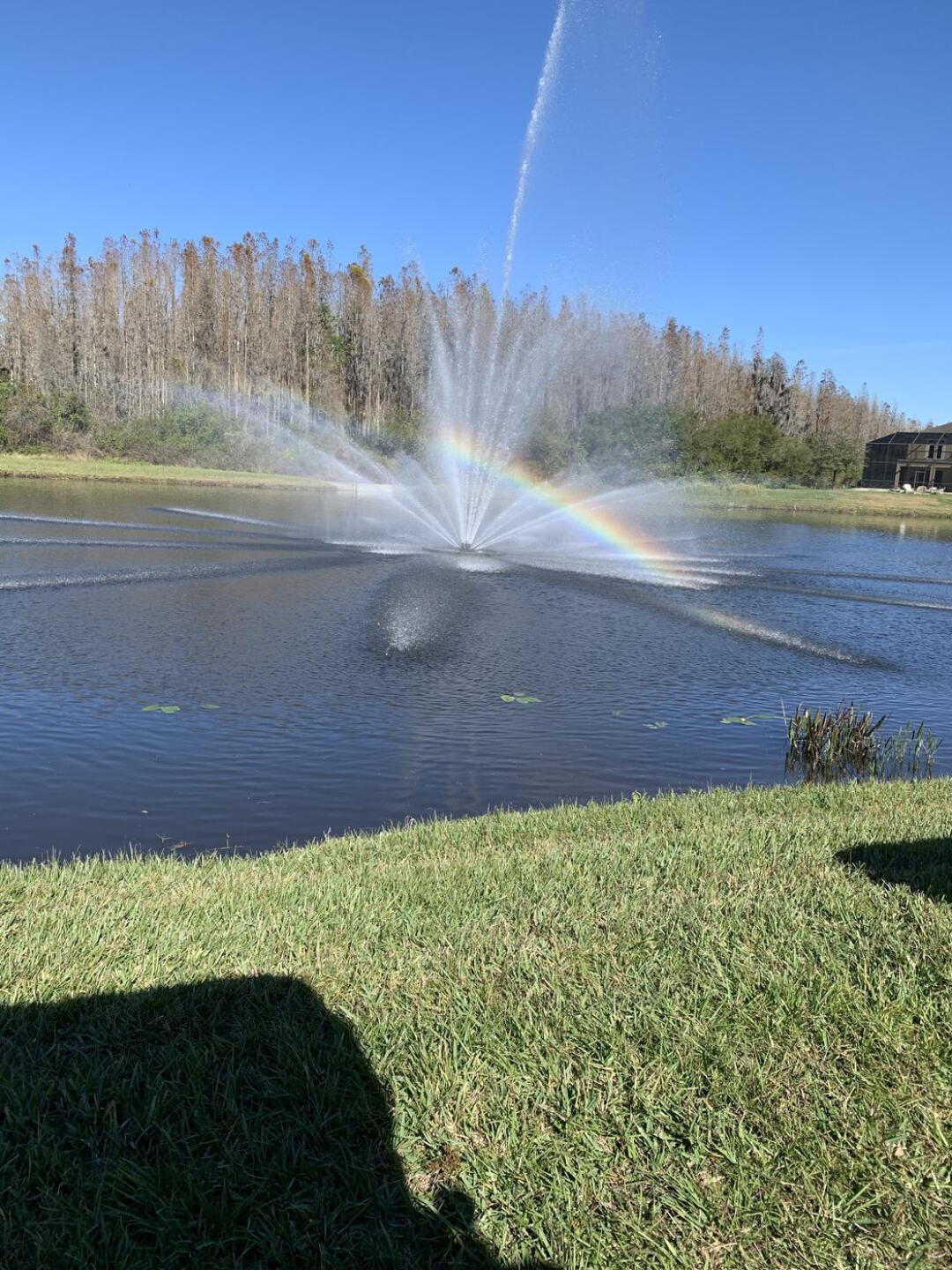 Beautiful day at Heritage Isles (Photo submitted by Hammer26a on 02/06/2021)