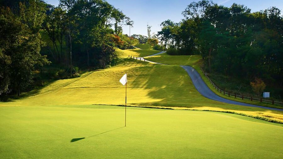 Golf Zone County Anseong H - Lake: #5