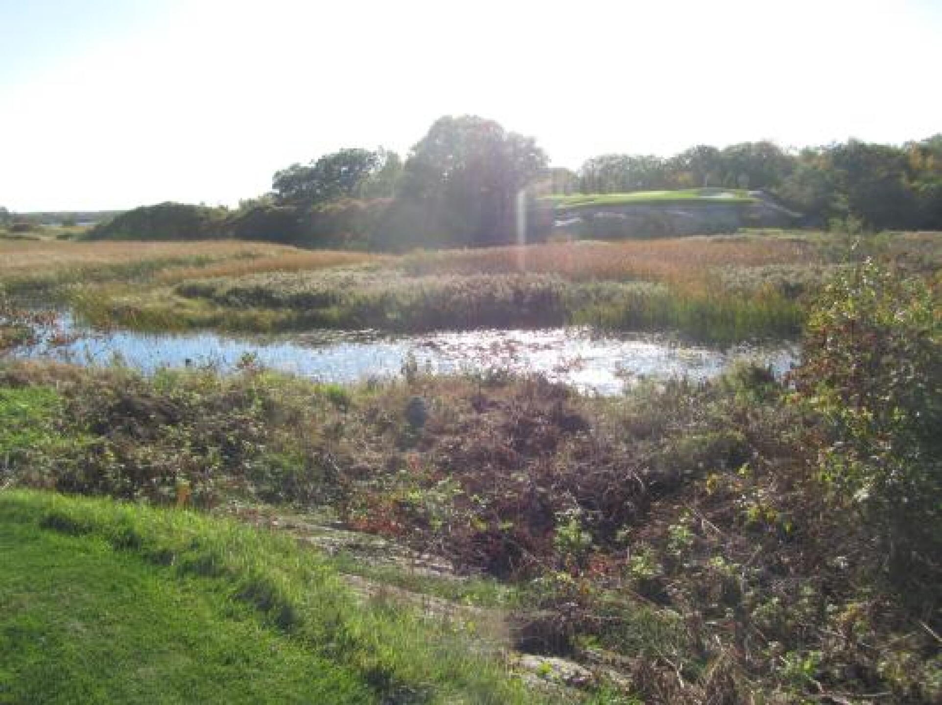 Hole 15, Par 3, If you make it over, green is two tiered! (Photo submitted by taz4golf on 10/04/2013)