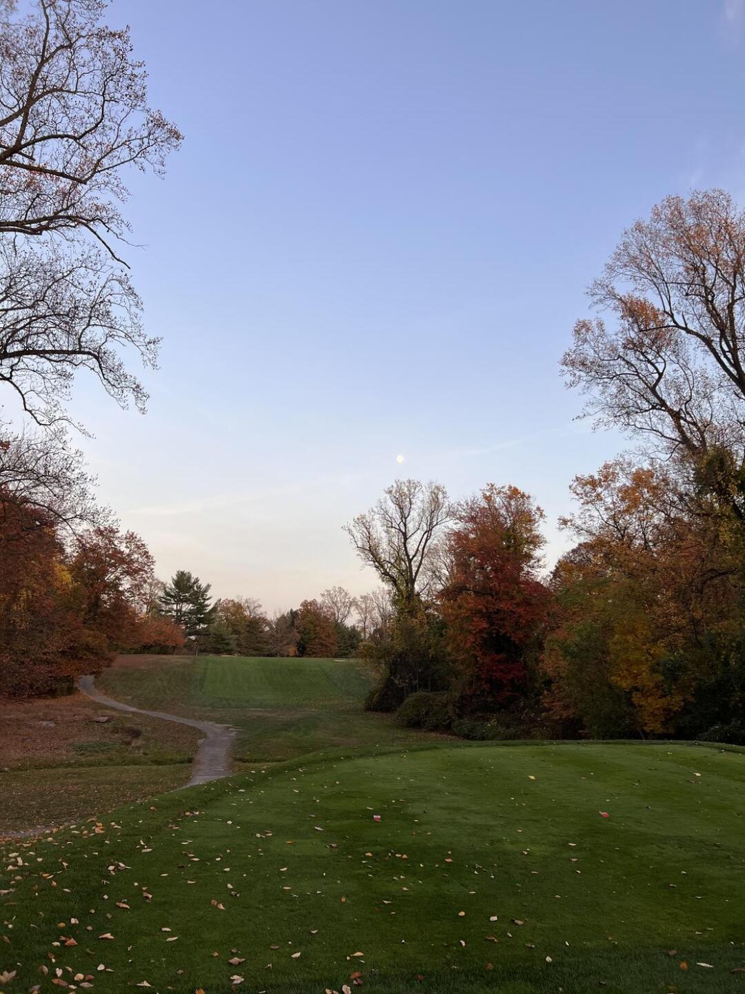 (Photo submitted by Harlem81 on 11/05/2022)