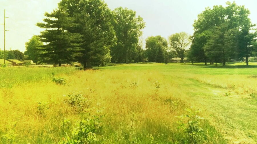 South Toledo GC: #16