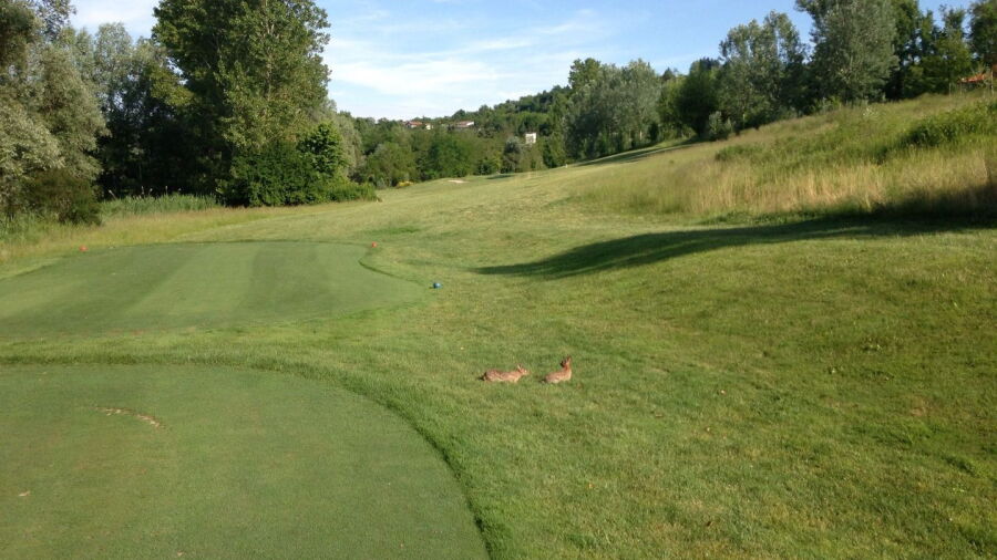 Golfino Practice GC