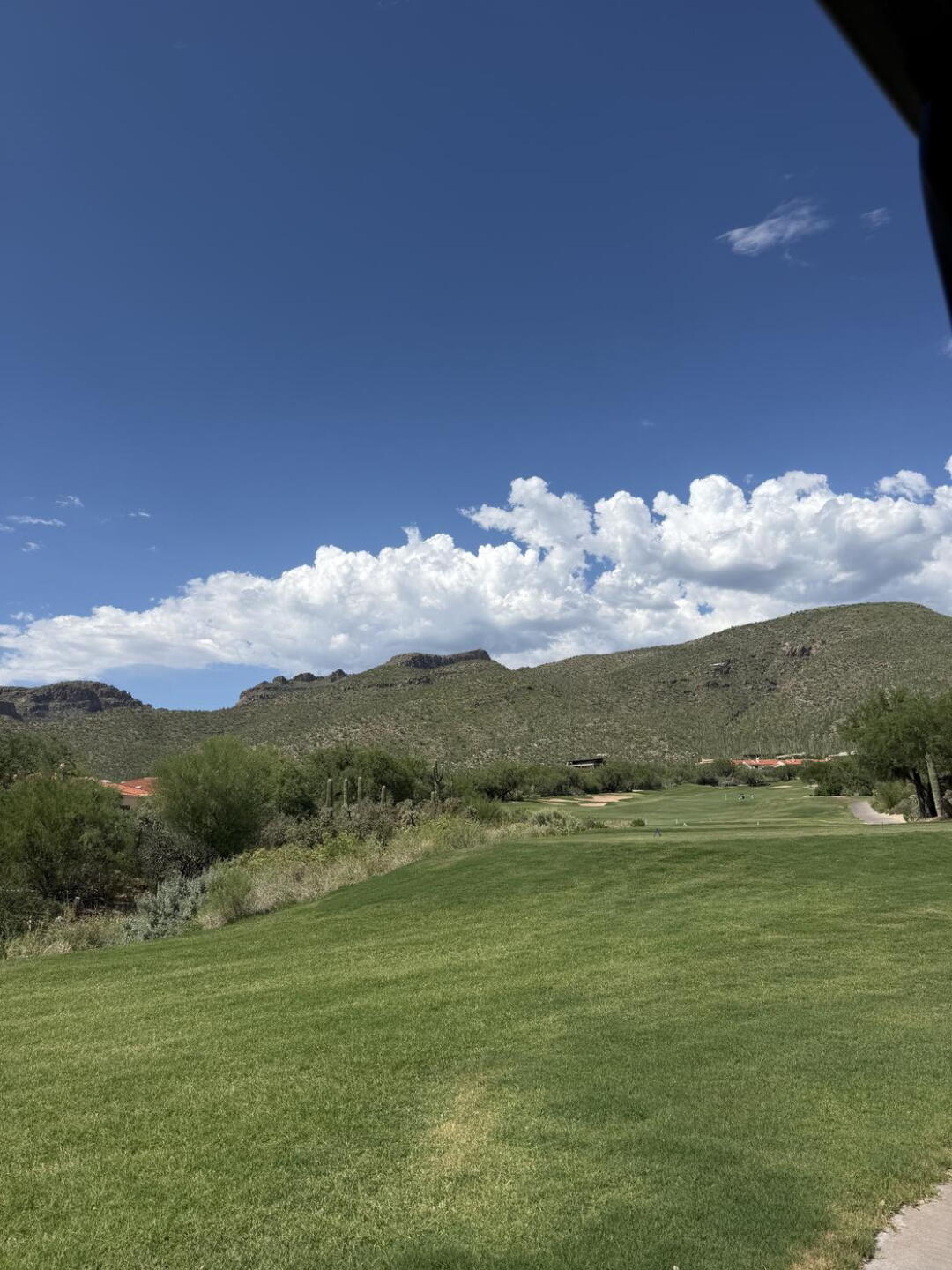 (Photo submitted by Allen2333673 on 08/29/2026)