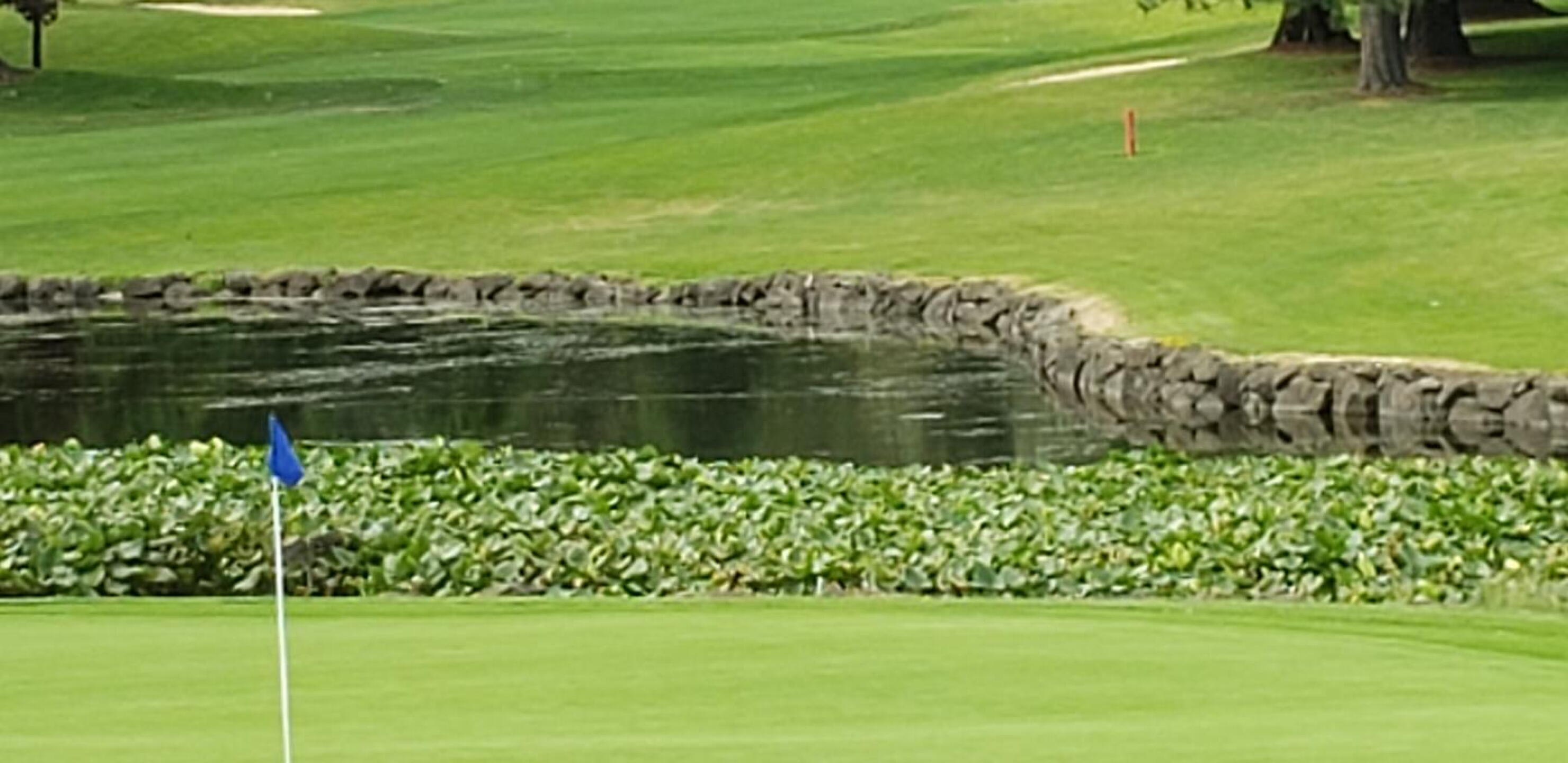 (Photo submitted by HipHopGolf on 06/20/2021)