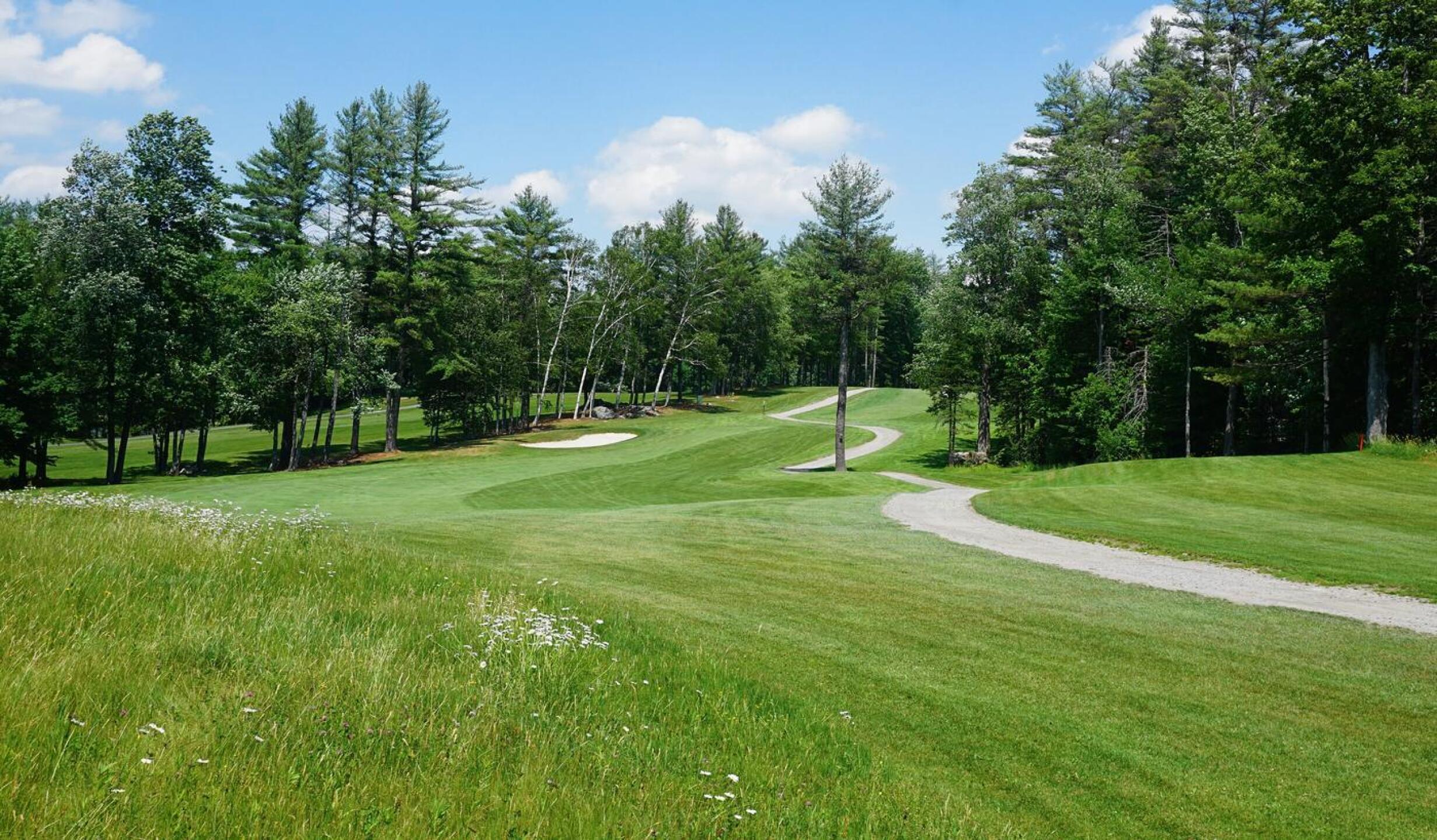Eight. Par-5 of 523. The tall pine tree guarding the dogleg’s corner makes tee shots even trickier. (Photo submitted by AptlyLinked on 06/23/2021)