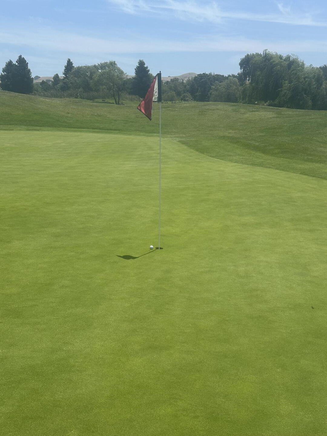 (Photo submitted by Yusuf1728842 on 07/06/2026)
