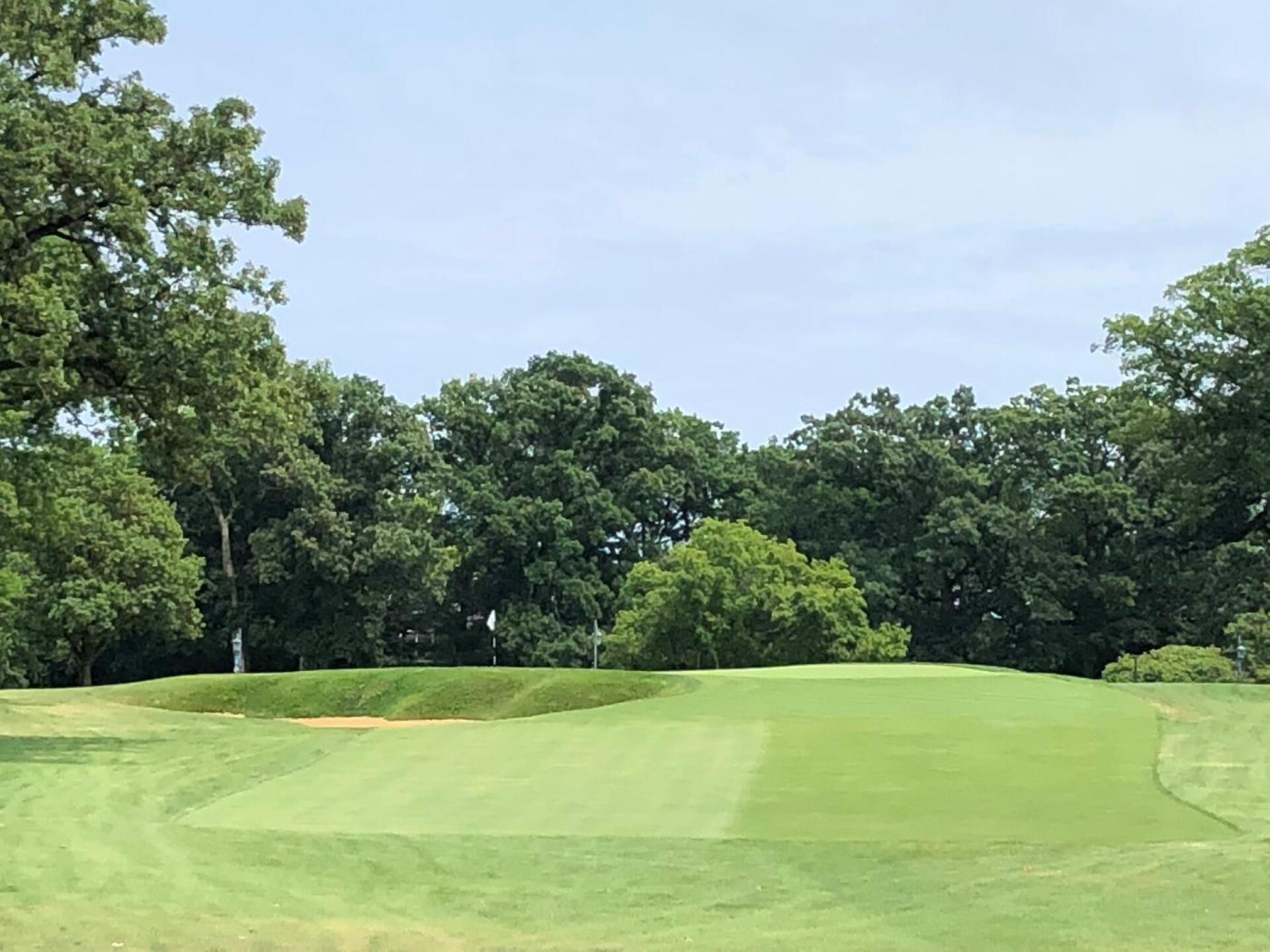 (Photo submitted by BryanTweed16 on 08/07/2018)