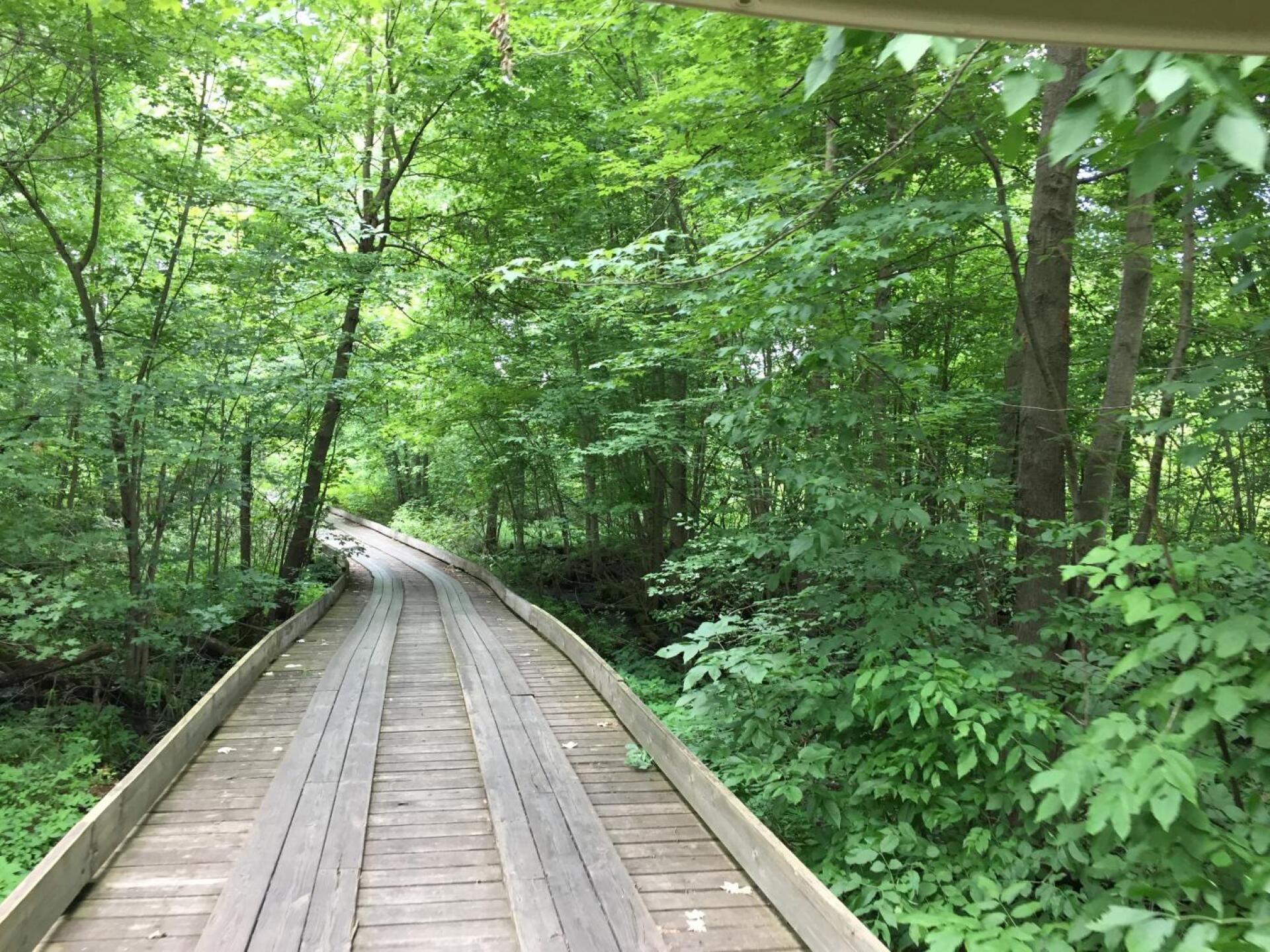 (Photo submitted by myrz350 on 07/10/2019)