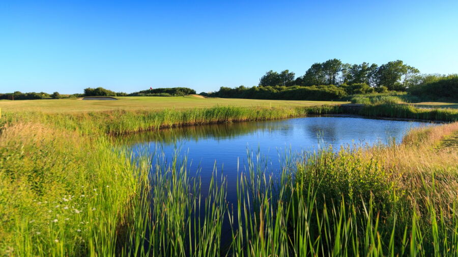 Cooden Beach GC: #4