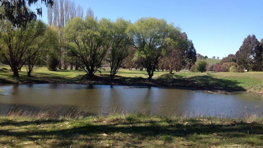 Omeo GC