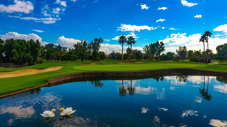 Arizona CC