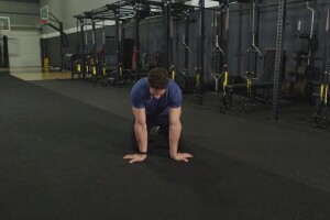 Tip 17 - Forearm Stretch: Avoid getting disconnected in the hands and gain mobility in your wrists
