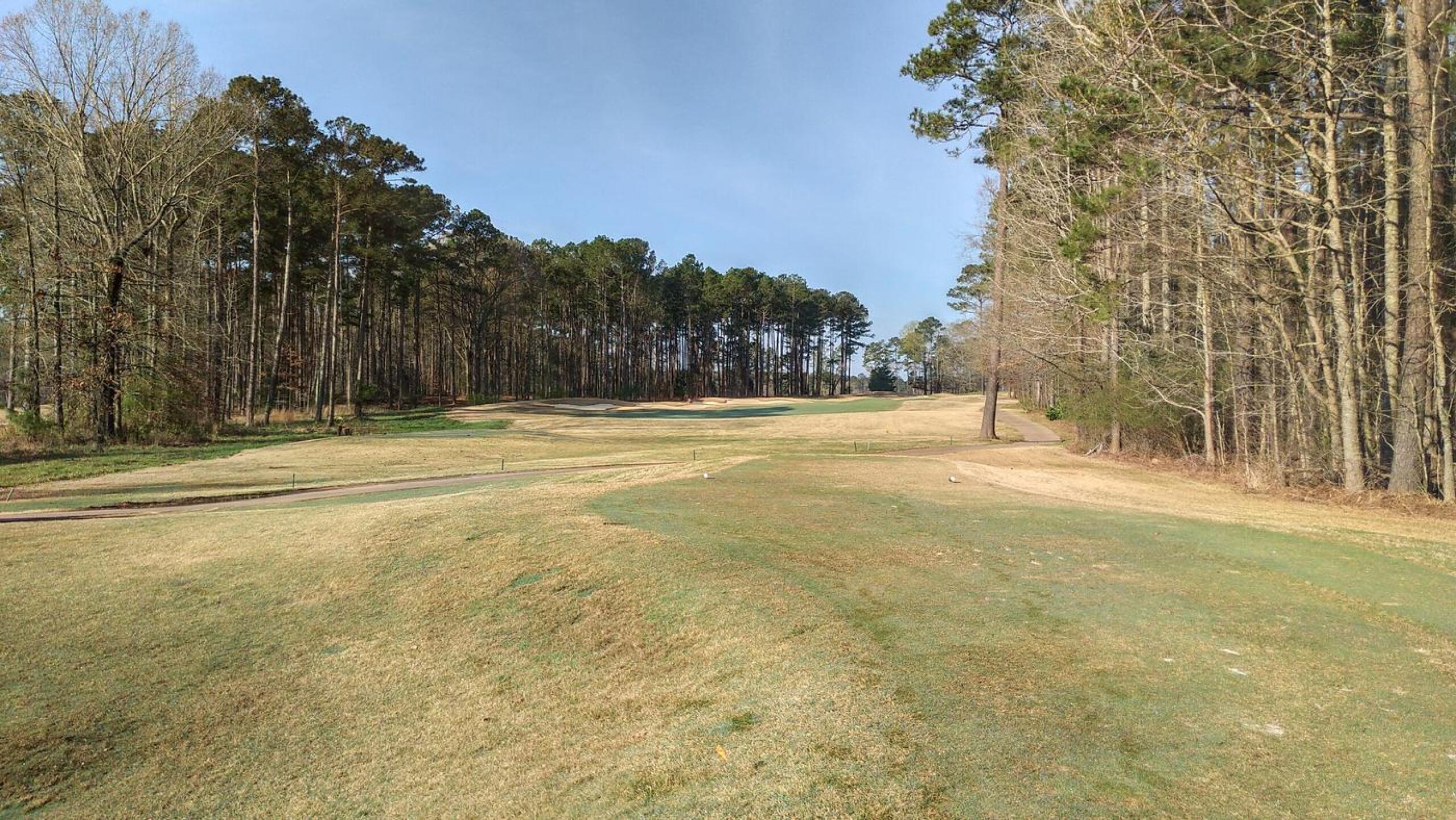 View from the tee.  Trees left and right. (Photo submitted by JayEmm on 03/13/2021)