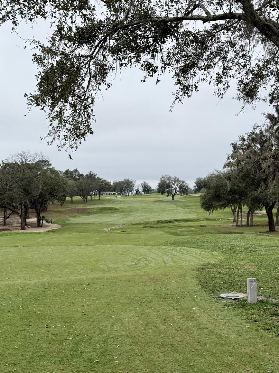 (Photo submitted by rich4par on 02/23/2025)