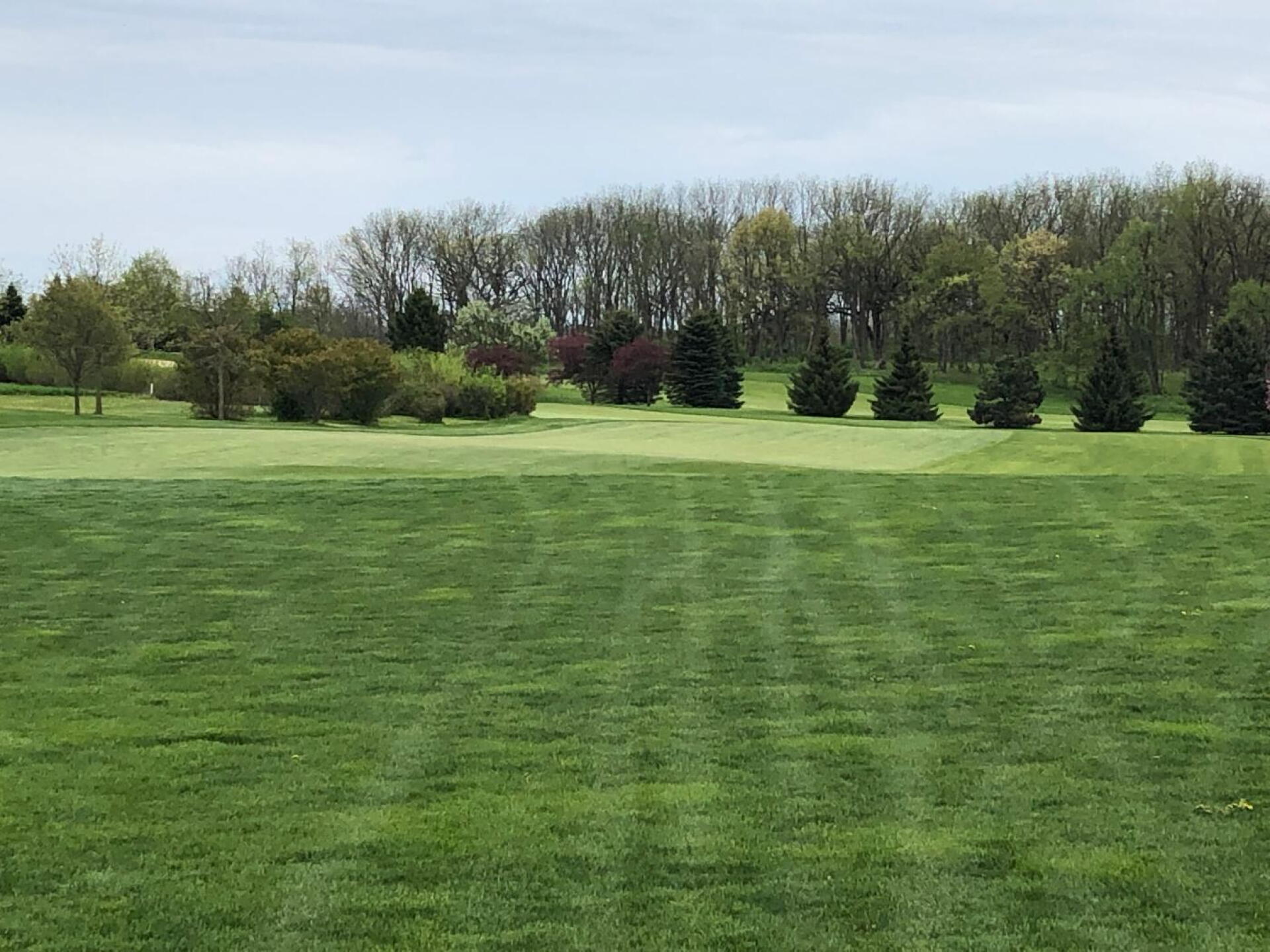 (Photo submitted by BryanTweed16 on 05/21/2019)
