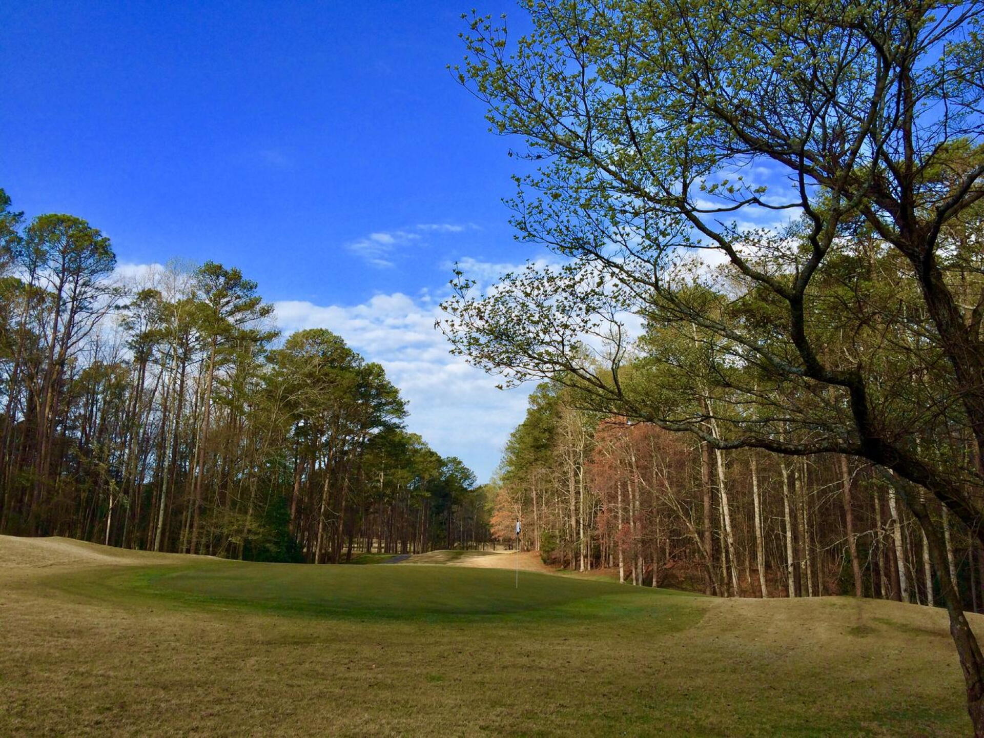 View from behind the par-3 7th hole, Mountain View course (Photo submitted by BrandonWebb on 03/20/2017)