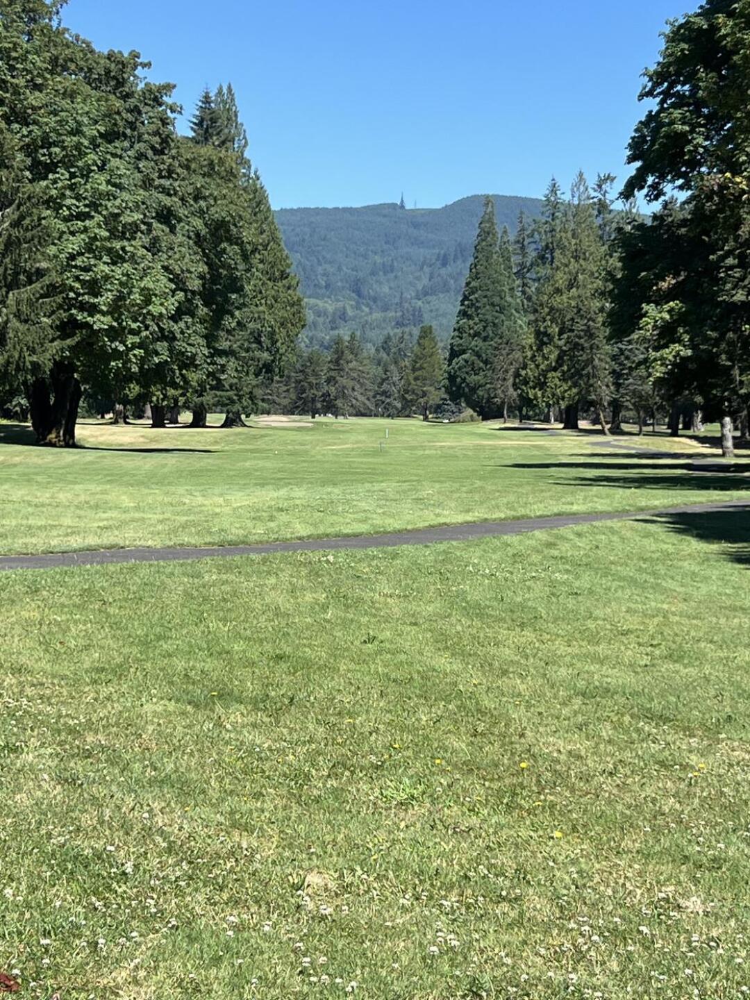 (Photo submitted by 1irishguy47 on 07/09/2024)