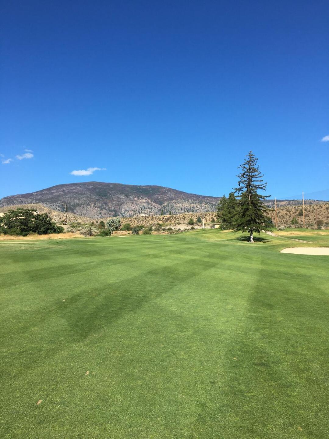 (Photo submitted by u206358514 on 08/05/2020)