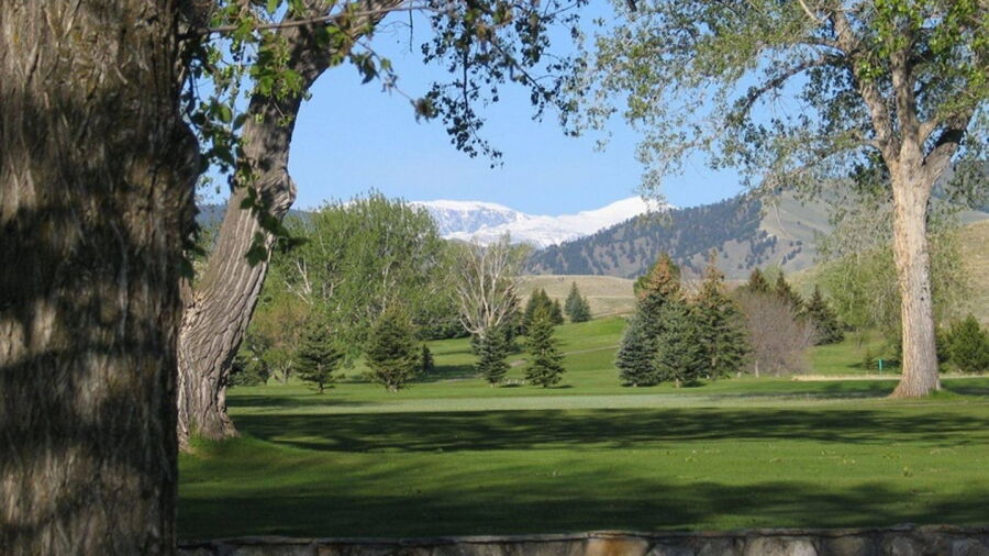 Buffalo GC