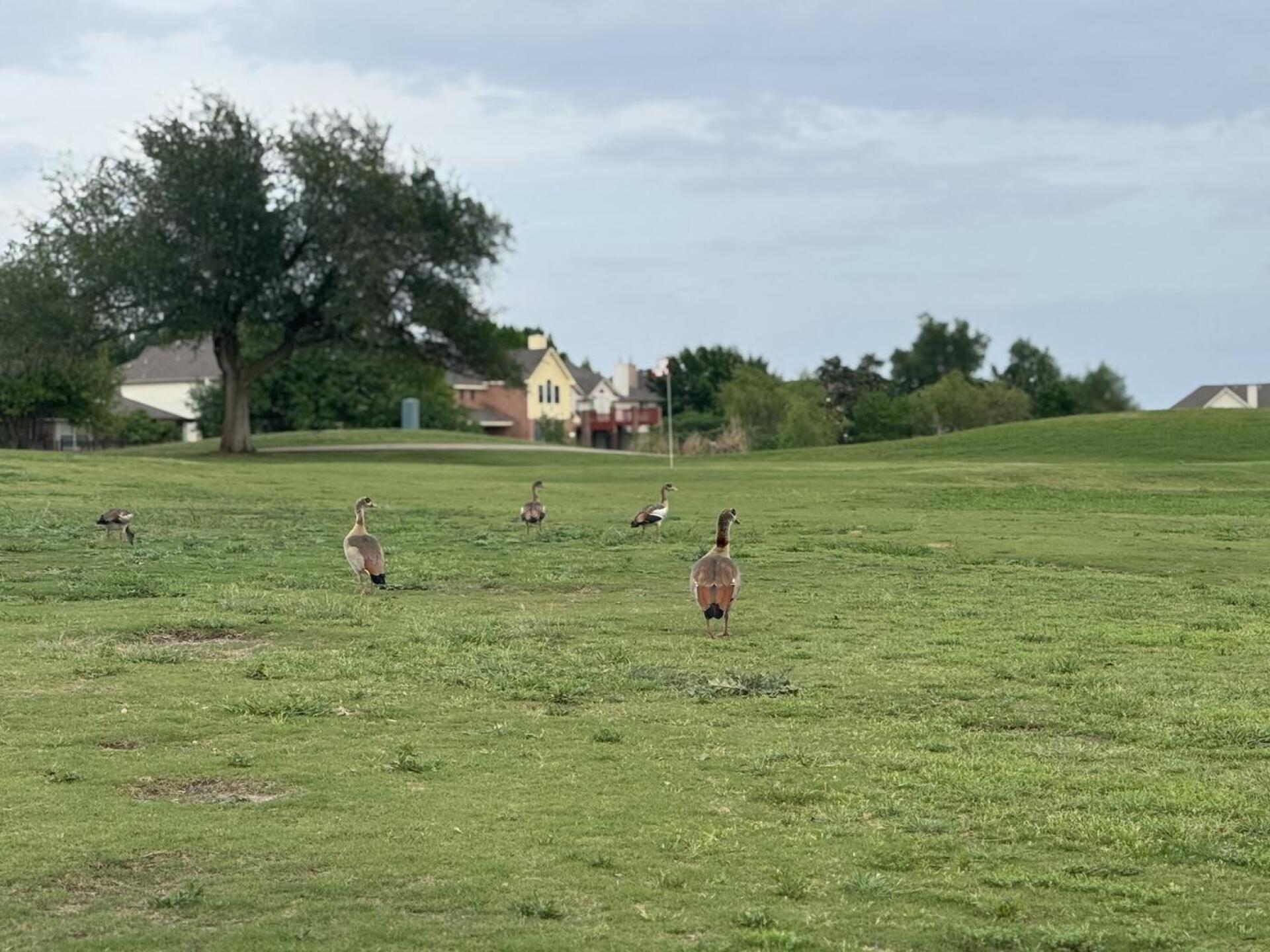 (Photo submitted by TyLush on 04/14/2026)