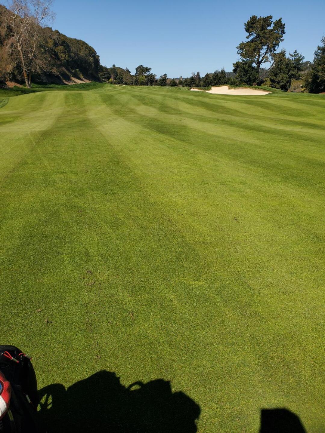 (Photo submitted by Robertlarsen85 on 03/26/2021)