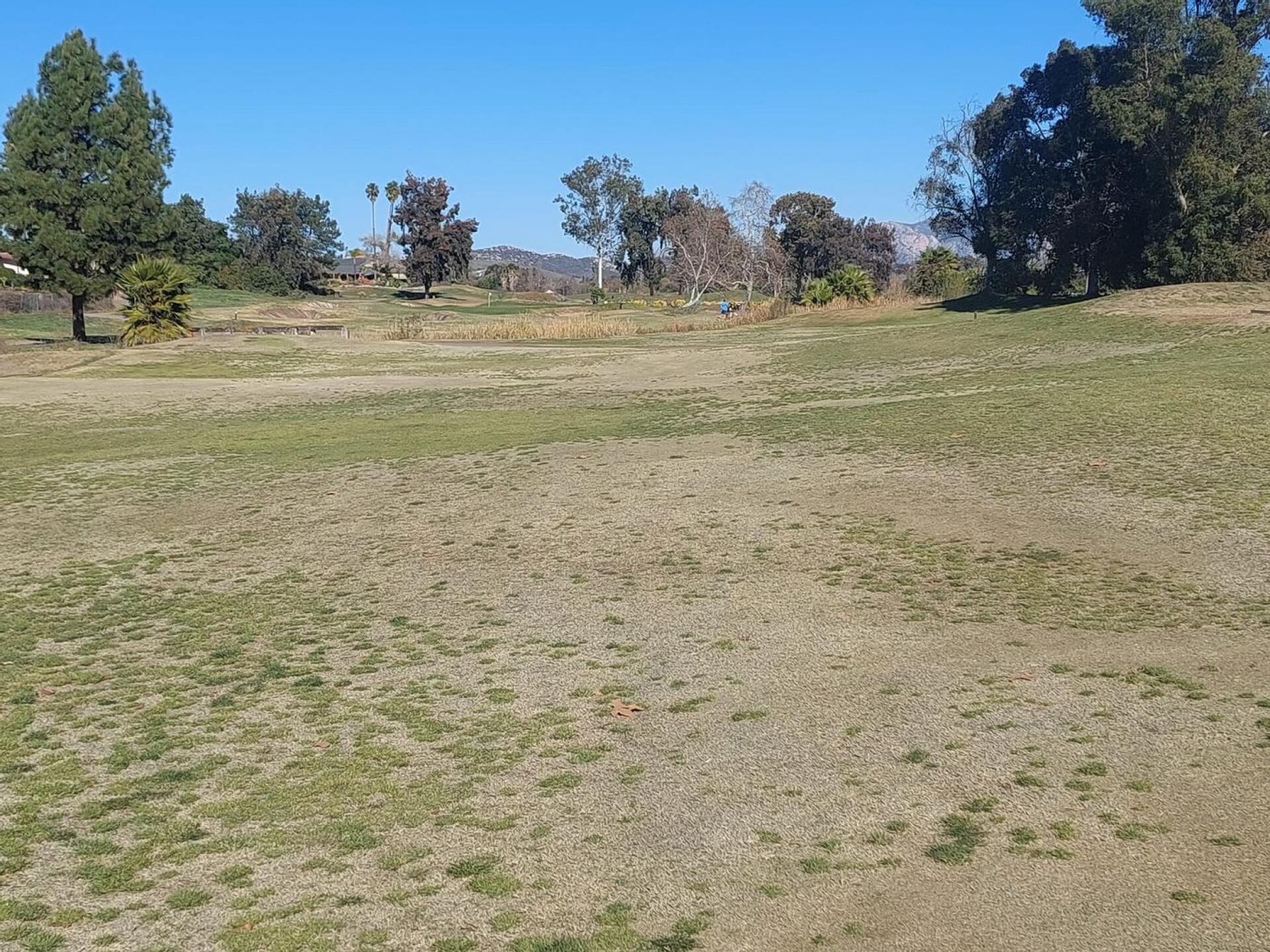 Brown Fairway. I think this is the 9th fairway but it is typical of all fairways. (Photo submitted by sherpaboy on 02/12/2022)
