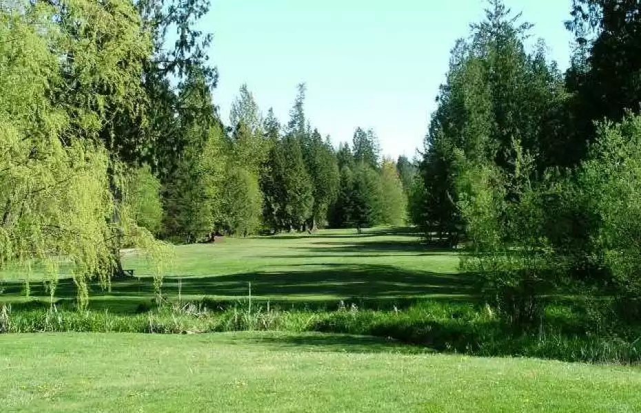 Tall Timber GC: #16