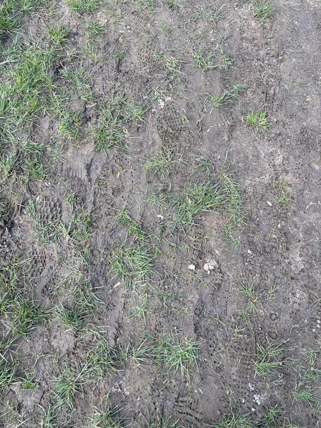 (Photo submitted by jeo7gee on 03/24/2024)