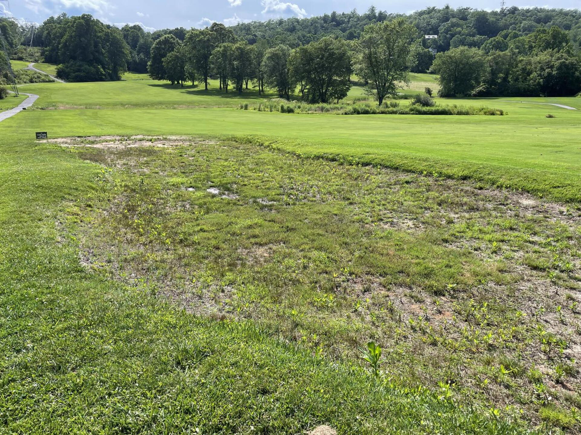 Fairway "bunker" (Photo submitted by nightranchers on 07/10/2023)