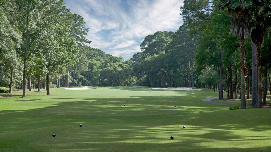 Dolphin Head GC: #3