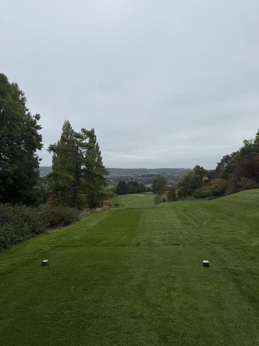 (Photo submitted by k93RDG3pKzP6As0ixrcx on 10/12/2025)