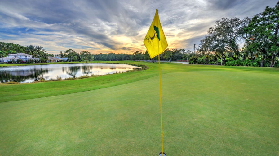 Cypress Head GC