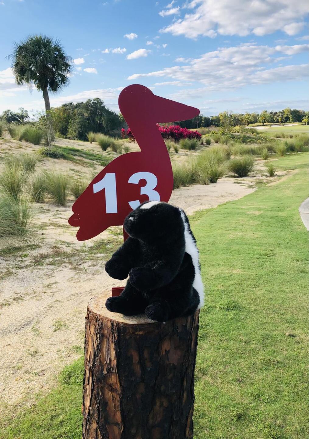 (Photo submitted by u491522621 on 11/24/2020)