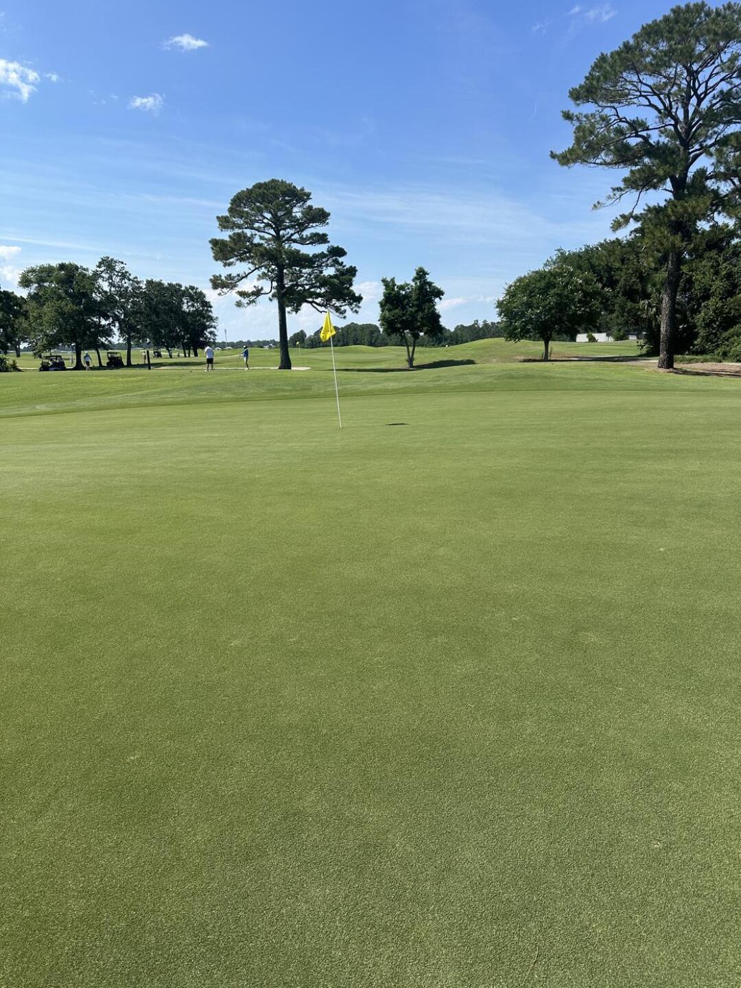 (Photo submitted by Tappestry on 05/28/2025)