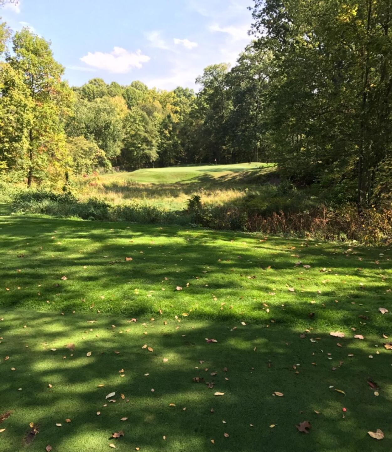 Par 3 12th over a marsh grass area. (Photo submitted by carolinadad on 10/01/2017)