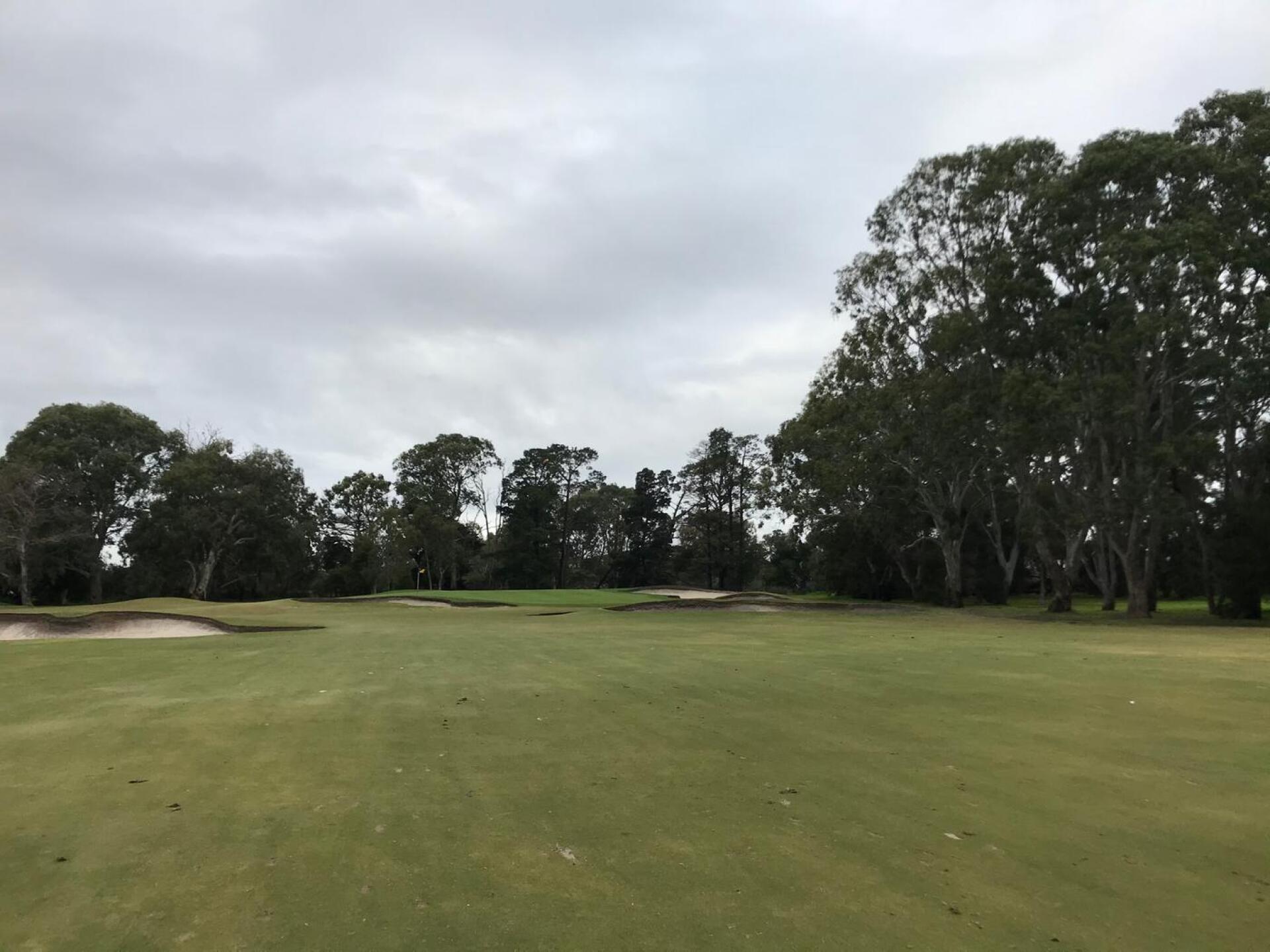 (Photo submitted by theglasseyegolfer on 07/12/2020)