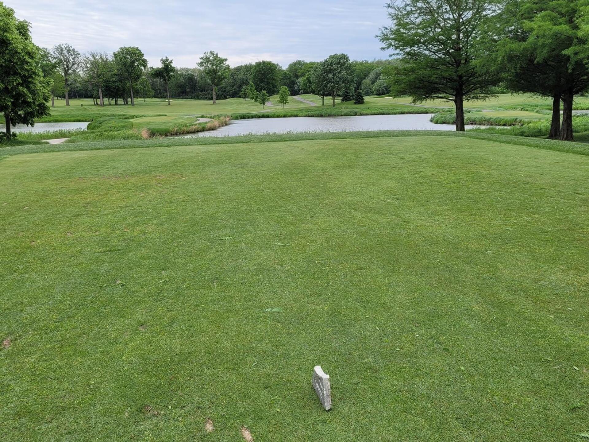 (Photo submitted by u686118190 on 05/29/2021)