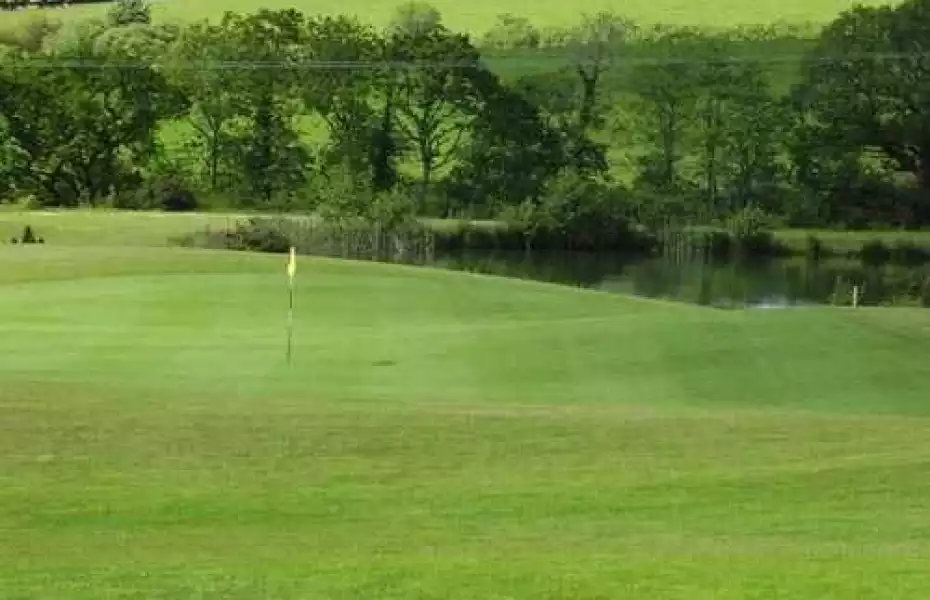 Derllys Court GC: #4