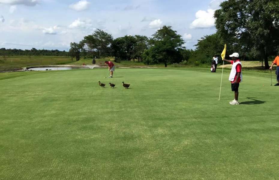 Nkana GC